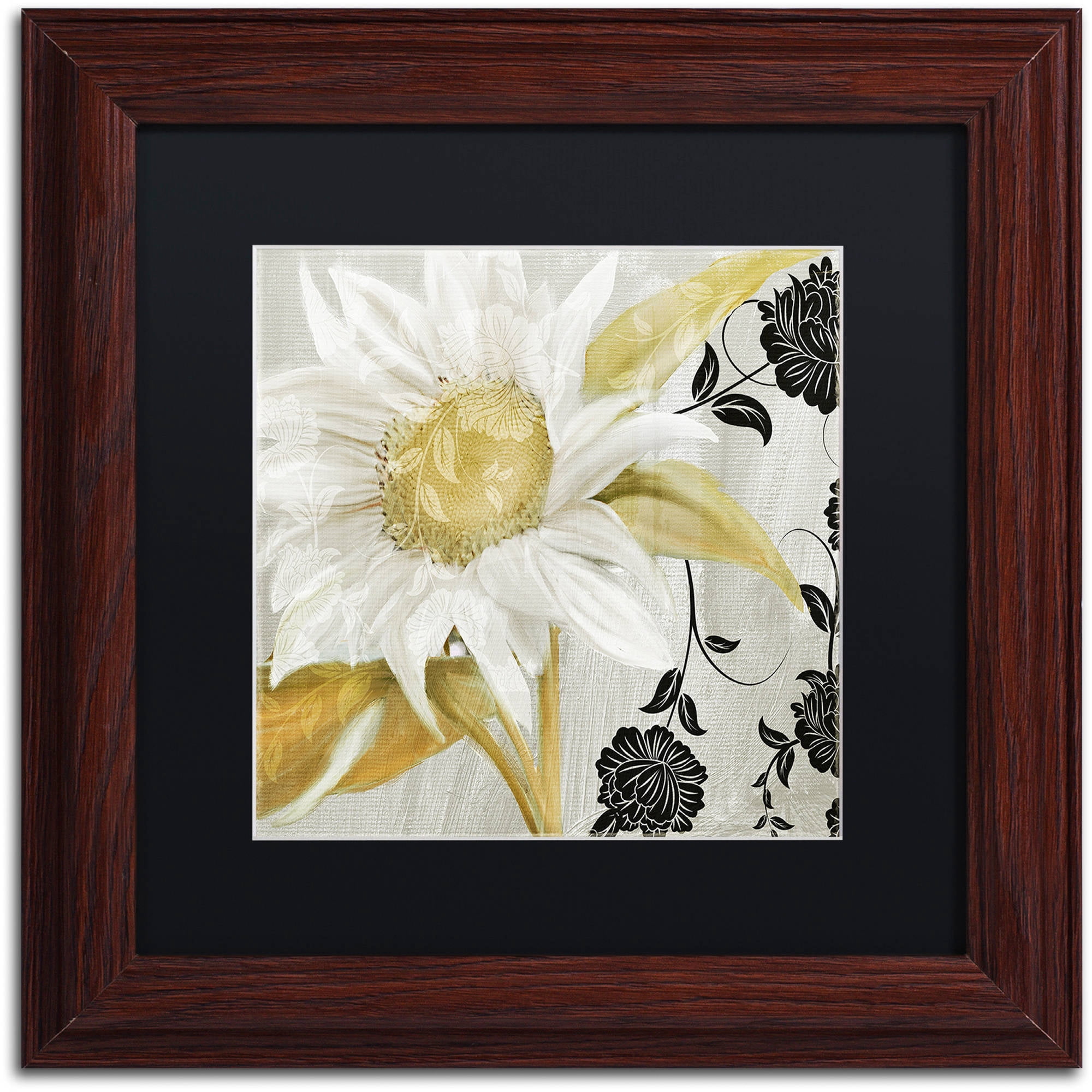 Trademark Fine Art "Sunroom I" Canvas Art by Color Bakery Black Matte, Wood Frame