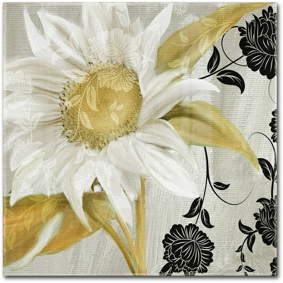 Trademark Fine Art "Sunroom I" Canvas Art by Color Bakery