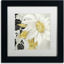 Trademark Fine Art "Sunroom II" Canvas Art by Color Bakery White Matte, Black Frame