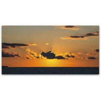 Trademark Fine Art "Sunset Beauty" Canvas Art by Kurt Shaffer
