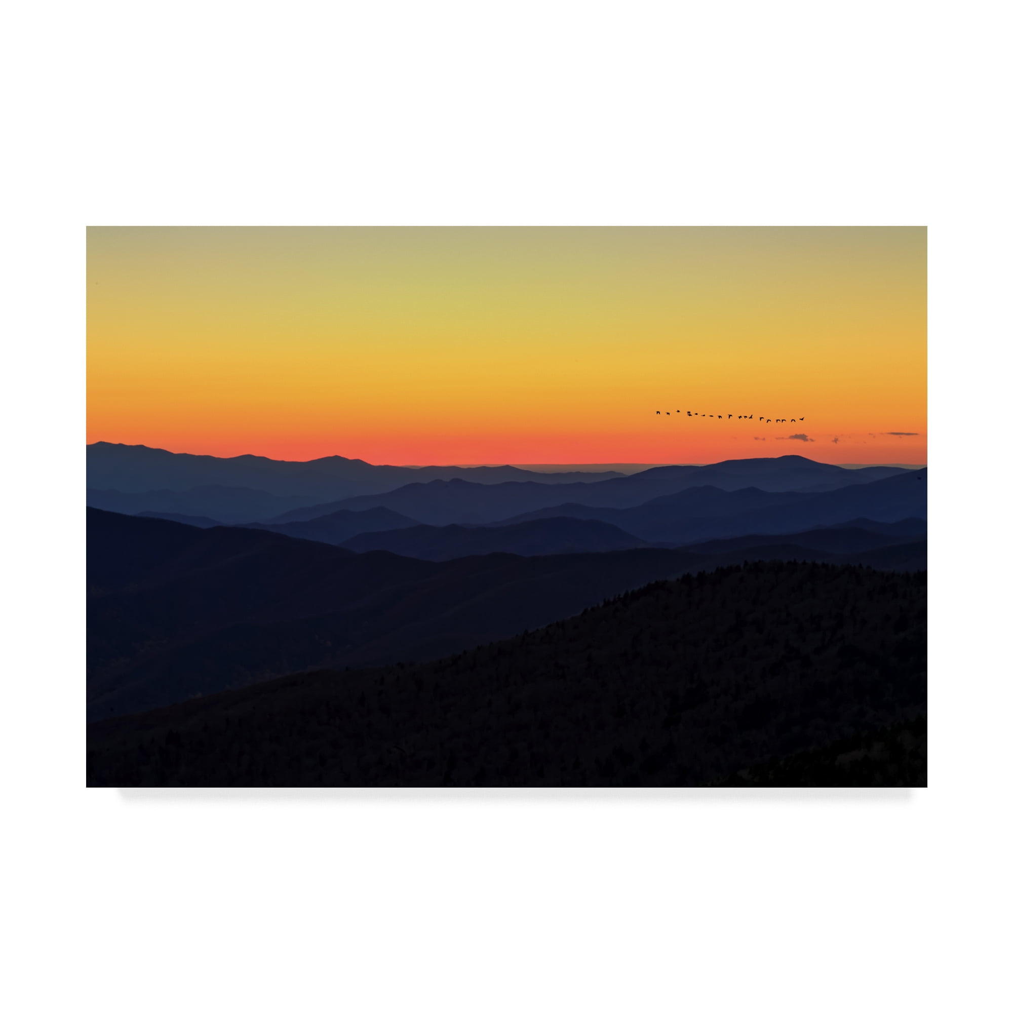 Trademark Fine Art 'Sunset Blue 1' Canvas Art by Galloimages Online