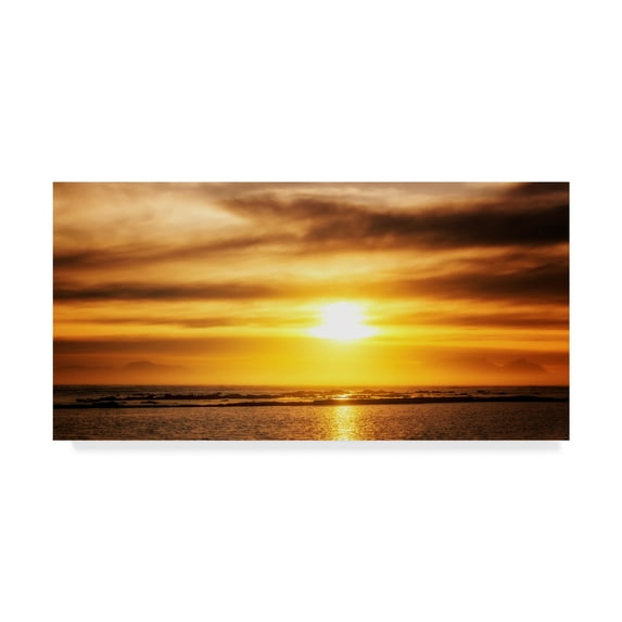 Trademark Fine Art 'Sunset Coastline' Canvas Art by Pixie Pics