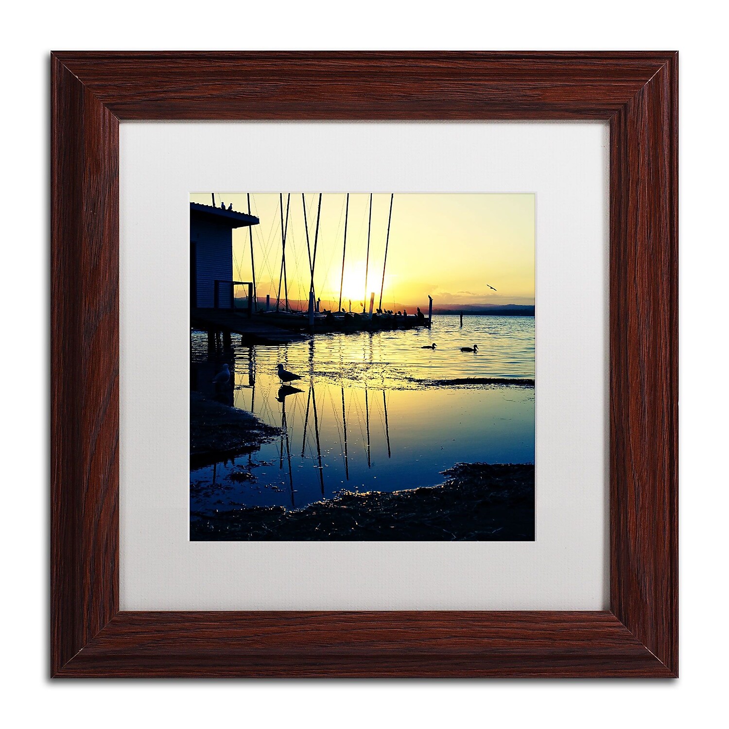 Trademark Fine Art "Sunset Conversations" Canvas Art by Beata Czyzowska Young White Matte, Wood Frame