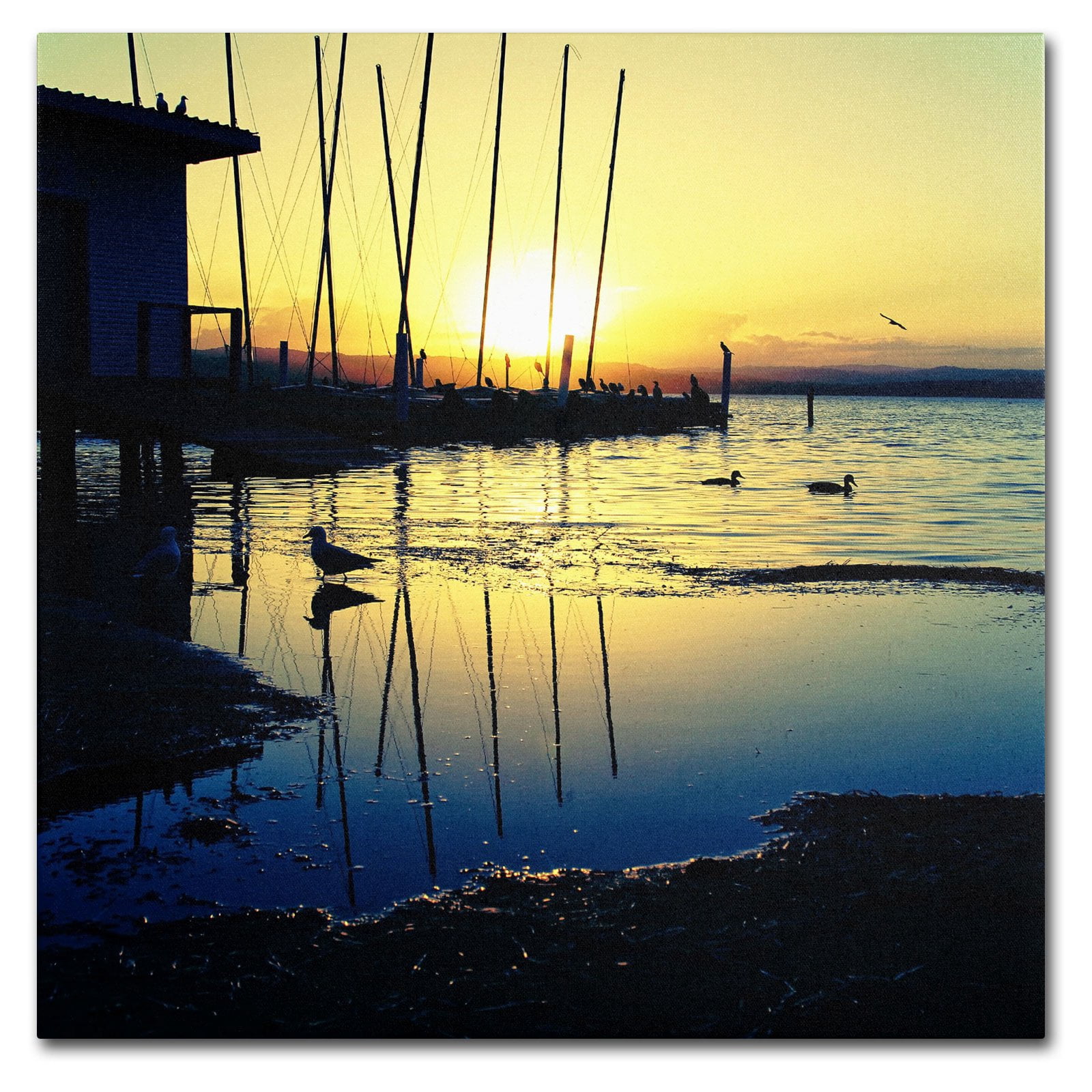 Trademark Fine Art "Sunset Conversations" Canvas Art by Beata Czyzowska Young