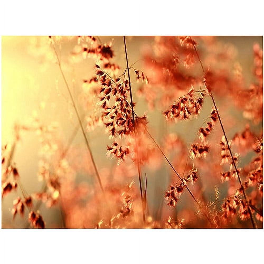Beata Czyzowska 'Sunset Conversations' Canvas Art
