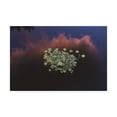 thumbnail image 1 of Trademark Fine Art 'Sunset Lilypads 2' Canvas Art by Kurt Shaffer, 1 of 4