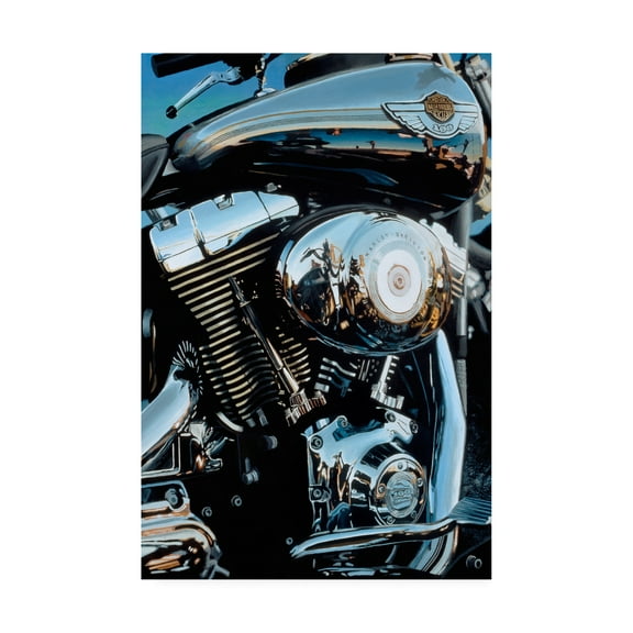 Trademark Fine Art 'Sunset & Motorcycle' Canvas Art by Roderick Stevens