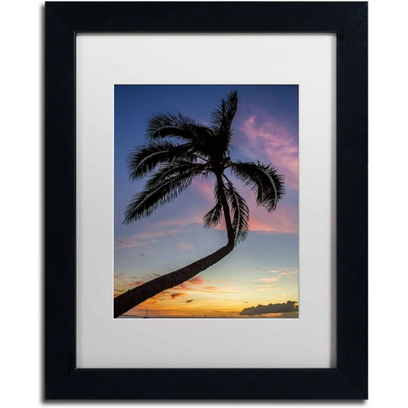 Trademark Fine Art "Sunset Palm" Canvas Art by Pierre Leclerc, White Matte/Black Frame