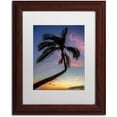 thumbnail image 1 of Trademark Fine Art "Sunset Palm" Canvas Art by Pierre Leclerc, White Matte/Wood Frame, 1 of 1