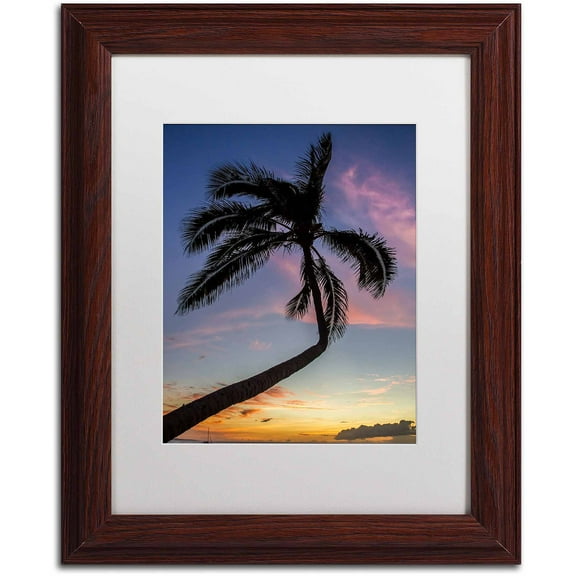 Trademark Fine Art "Sunset Palm" Canvas Art by Pierre Leclerc, White Matte/Wood Frame