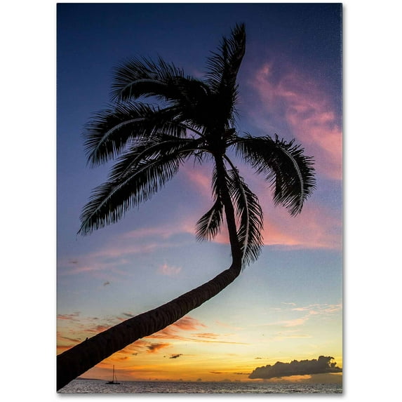 Trademark Fine Art "Sunset Palm" Canvas Art by Pierre Leclerc