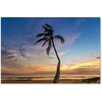 Trademark Fine Art 'Sunset Palm Tree' Canvas Art by Pierre Leclerc