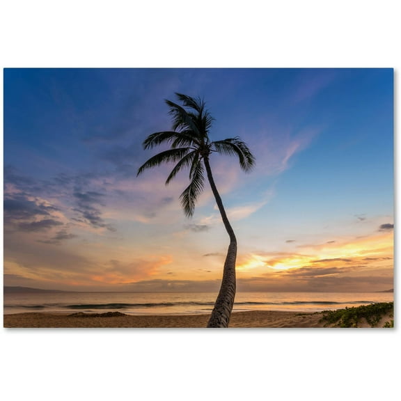 Trademark Fine Art 'Sunset Palm Tree' Canvas Art by Pierre Leclerc