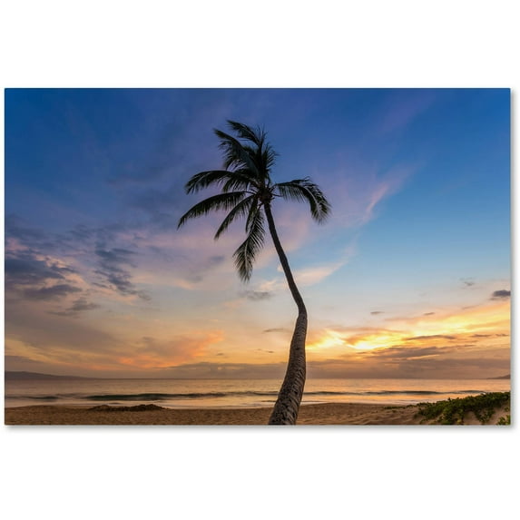 Trademark Fine Art 'Sunset Palm Tree' Canvas Art by Pierre Leclerc