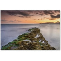 Trademark Fine Art 'Sunset Reef' Canvas Art by Pierre Leclerc