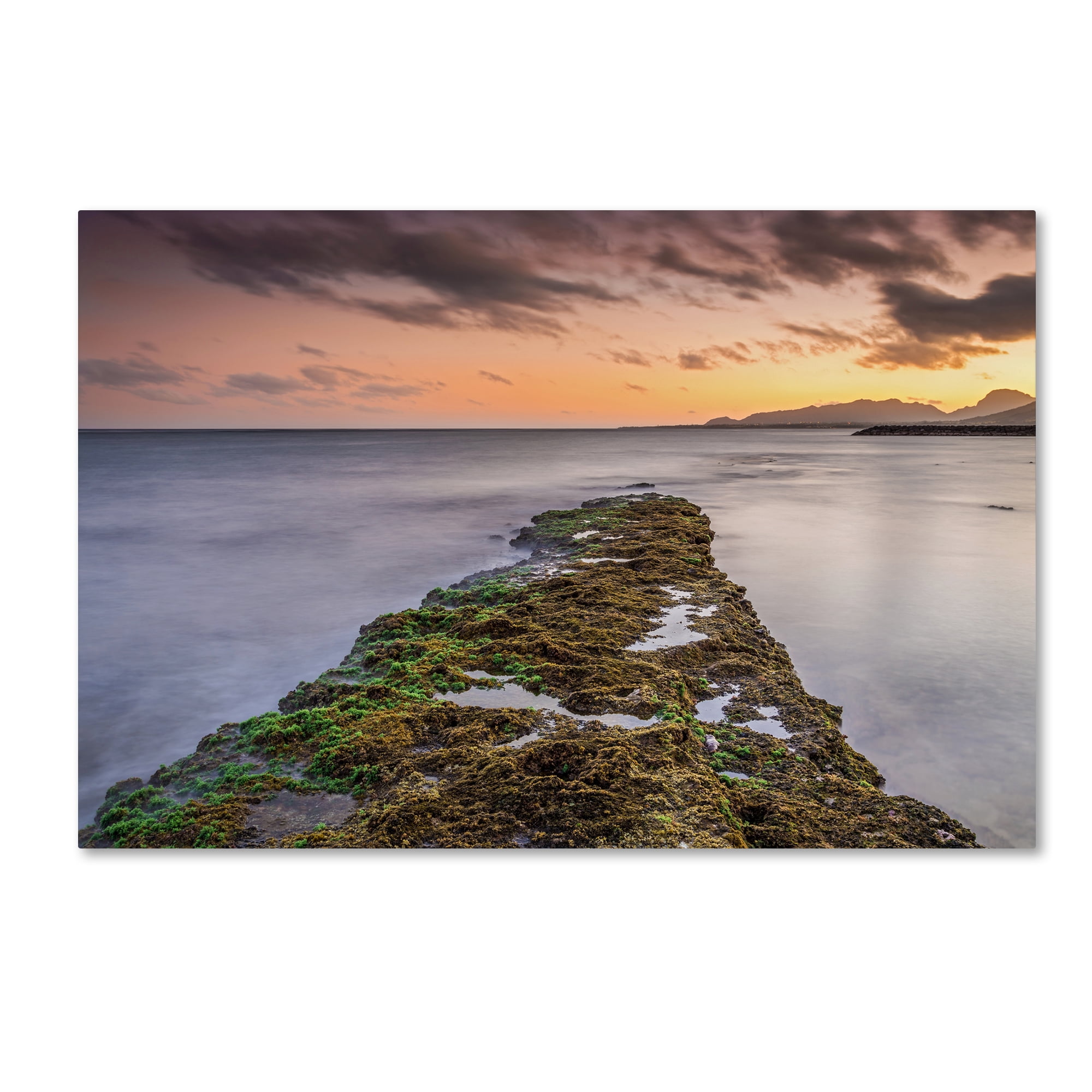 Trademark Fine Art 'Sunset Reef' Canvas Art by Pierre Leclerc