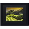 thumbnail image 1 of Trademark Fine Art "Sunset Rice" Canvas Art by Philippe Hugonnard, Black Matte, Black Frame, 1 of 4
