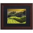 thumbnail image 1 of Trademark Fine Art "Sunset Rice" Canvas Art by Philippe Hugonnard, Black Matte, Wood Frame, 1 of 3