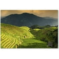 thumbnail image 1 of Trademark Fine Art "Sunset Rice I" Canvas Art by Philippe Hugonnard, 1 of 2
