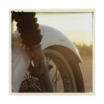 Trademark Fine Art 'Sunset Ride I' Canvas Art by Renee W. Stramel