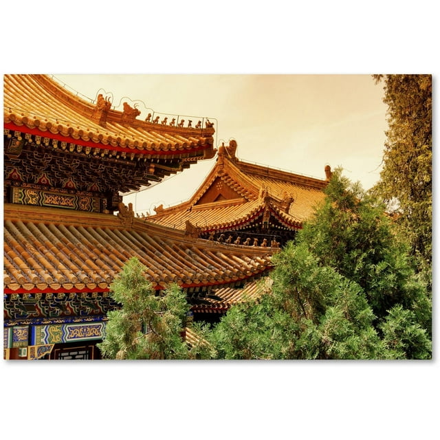 Trademark Fine Art "Sunset Roofs" Canvas Art by Philippe Hugonnard
