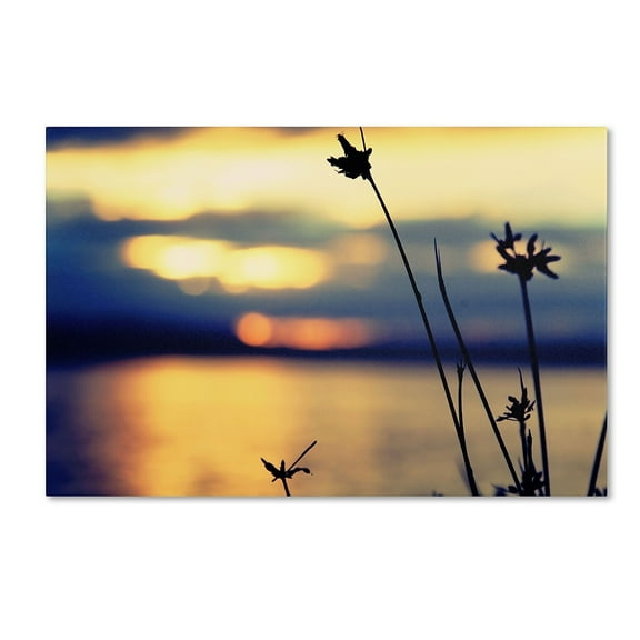Trademark Fine Art "Sunset Thoughts" Canvas Art by Beata Czyzowska Young