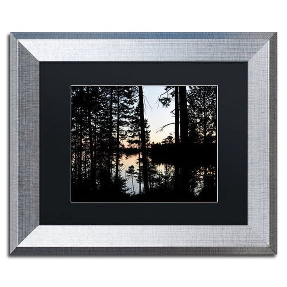 Trademark Fine Art 'Sunset Through the Trees' Canvas Art by Nicole Dietz, Black Matte, Silver Frame