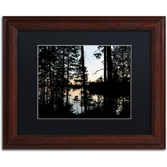 Trademark Fine Art 'Sunset Through the Trees' Canvas Art by Nicole Dietz, Black Matte, Wood Frame