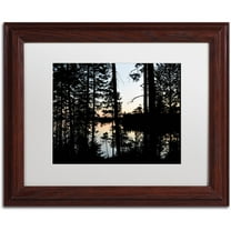 Trademark Fine Art 'Sunset Through the Trees' Canvas Art by Nicole Dietz, White Matte, Wood Frame
