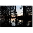 thumbnail image 1 of Trademark Fine Art 'Sunset Through the Trees' Canvas Art by Nicole Dietz, 1 of 3