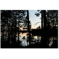 Trademark Fine Art 'Sunset Through the Trees' Canvas Art by Nicole Dietz