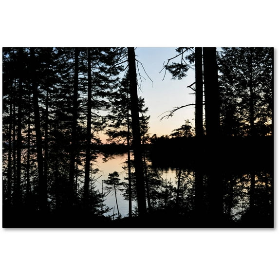 Trademark Fine Art 'Sunset Through the Trees' Canvas Art by Nicole Dietz