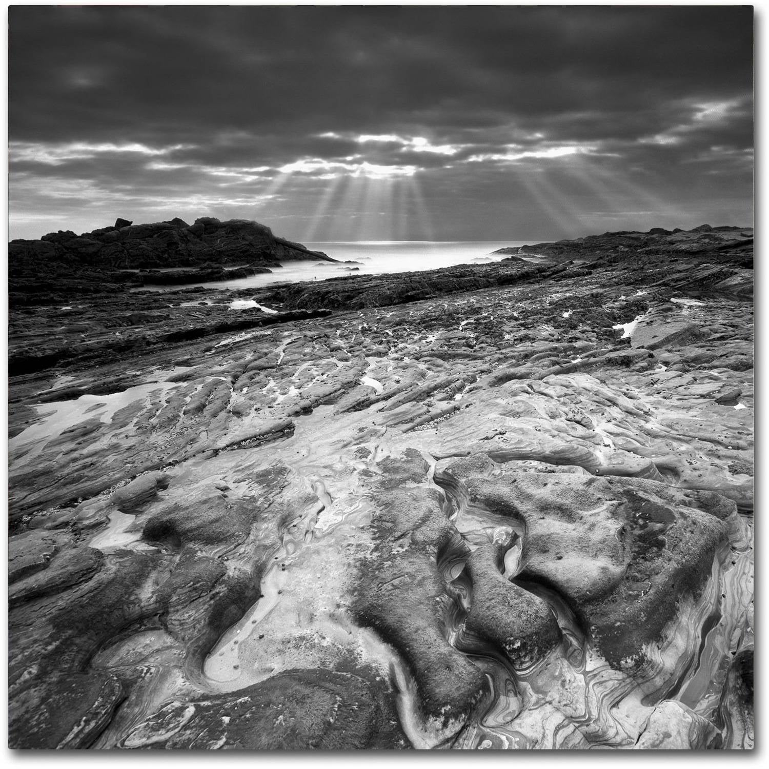 Trademark Fine Art "Sunset at Point Lobos" Canvas Art by Moises Levy
