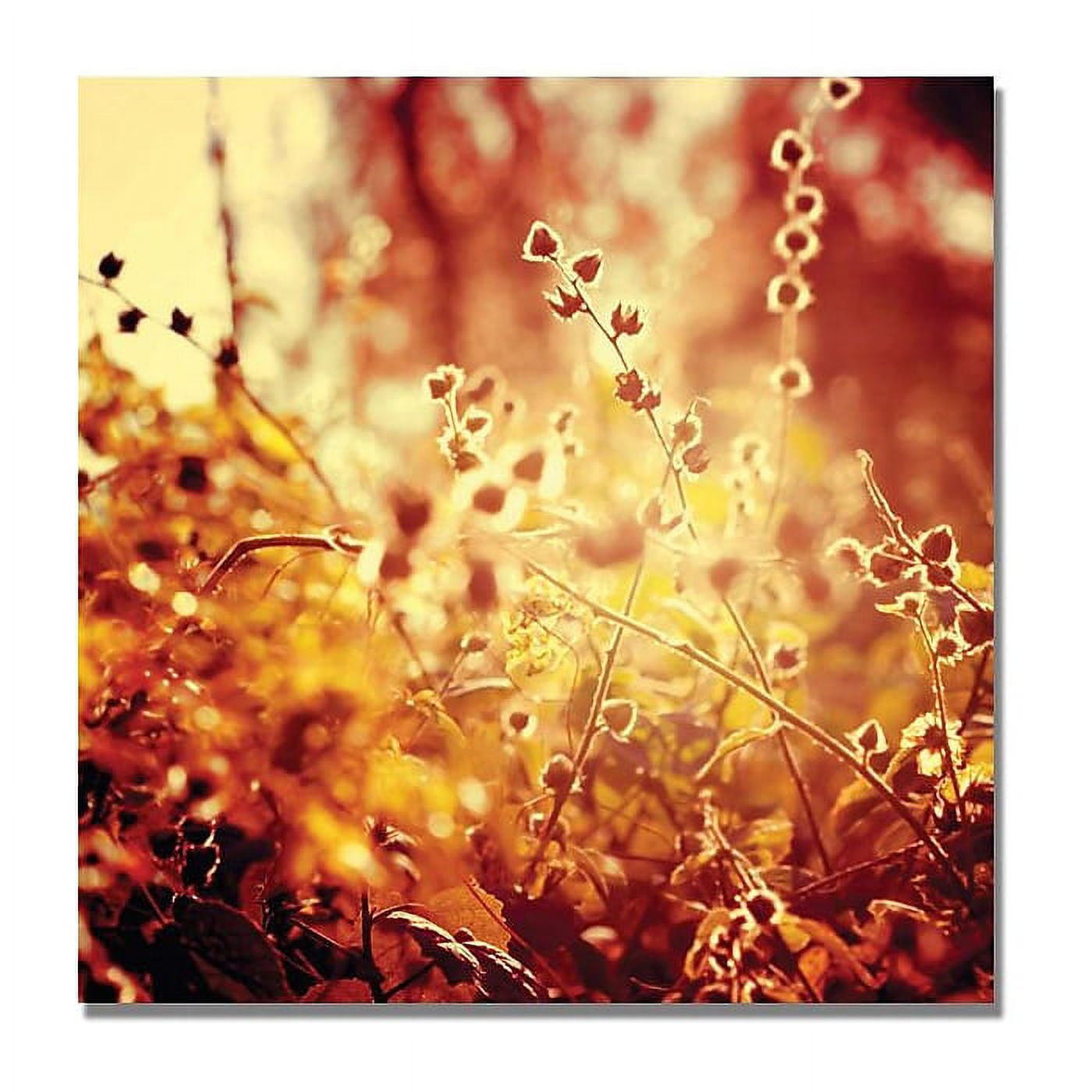 Sunset Garden Framed Canvas Print in Warm Tones, 24x24-Inch