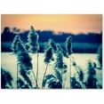thumbnail image 1 of Trademark Fine Art 'Sunset on the Marsh 2' Canvas Art by PIPA Fine Art, 1 of 3