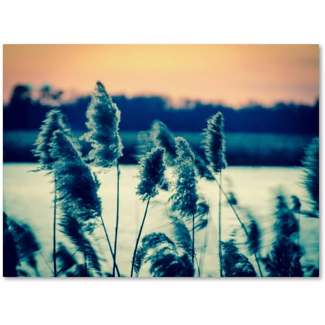 Trademark Fine Art 'Sunset on the Marsh 2' Canvas Art by PIPA Fine Art