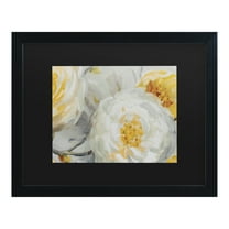 Trademark Fine Art 'Sunshine' Canvas Art by Lisa Audit