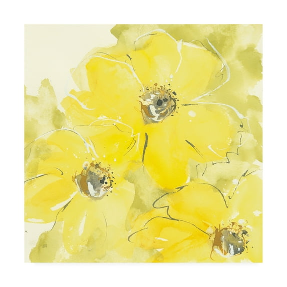 Trademark Fine Art 'Sunshine Cosmos I' Canvas Art by Chris Paschke