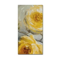 Trademark Fine Art 'Sunshine XIII' Canvas Art by Lisa Audit