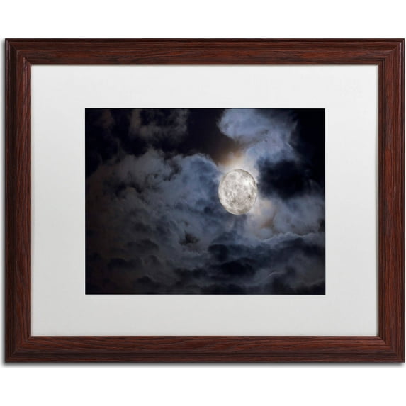 Trademark Fine Art "Supermoon " Canvas Art by Jason Shaffer, White Matte, Wood Frame