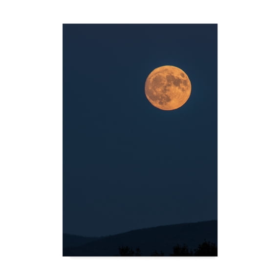 Trademark Fine Art 'Supermoon Rise Over Ridge' Canvas Art by Brenda Petrella Photography Llc