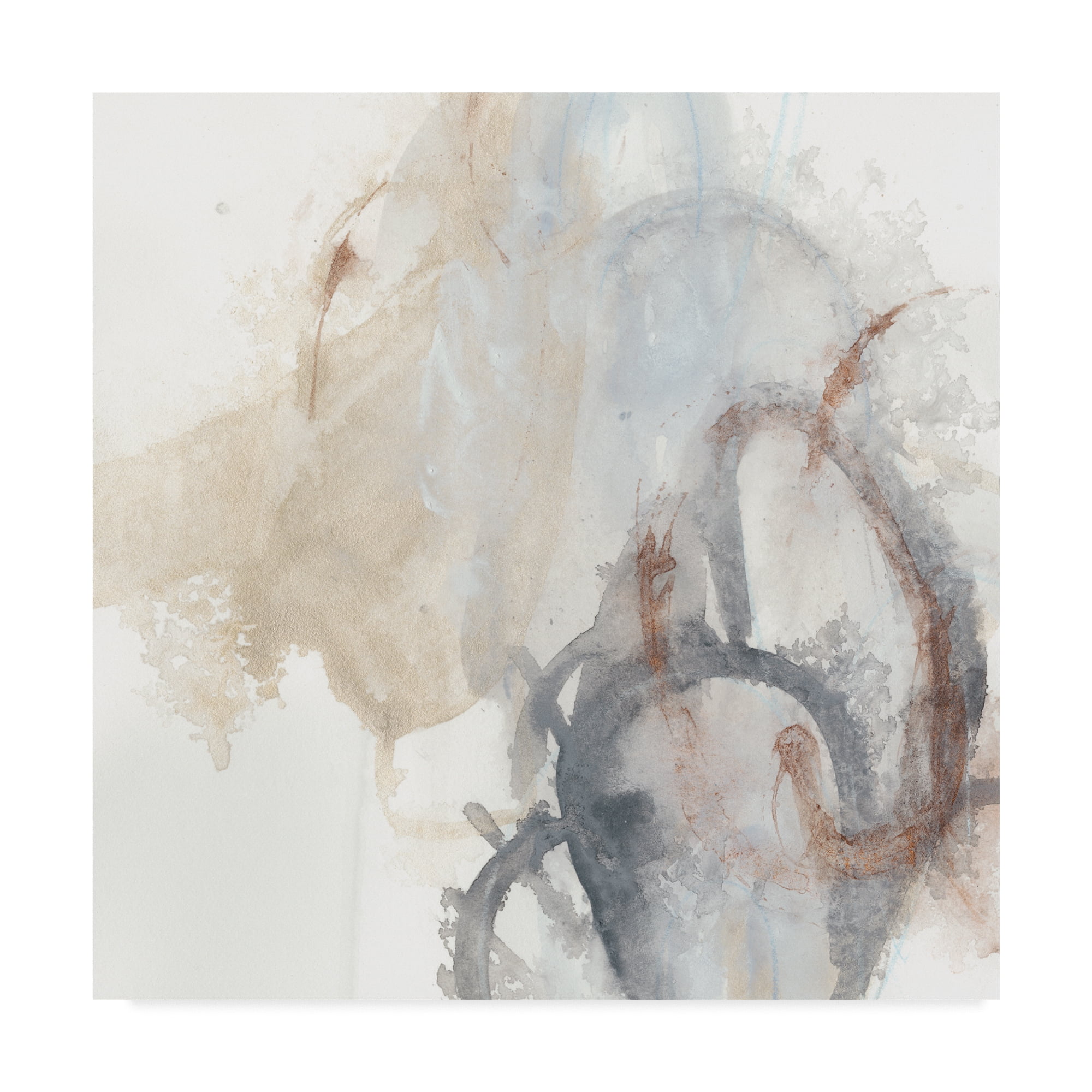 Trademark Fine Art 'Supposition I' Canvas Art by June Erica Vess