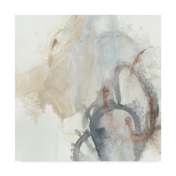 Trademark Fine Art 'Supposition I' Canvas Art by June Erica Vess