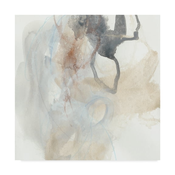 Trademark Fine Art 'Supposition III' Canvas Art by June Erica Vess