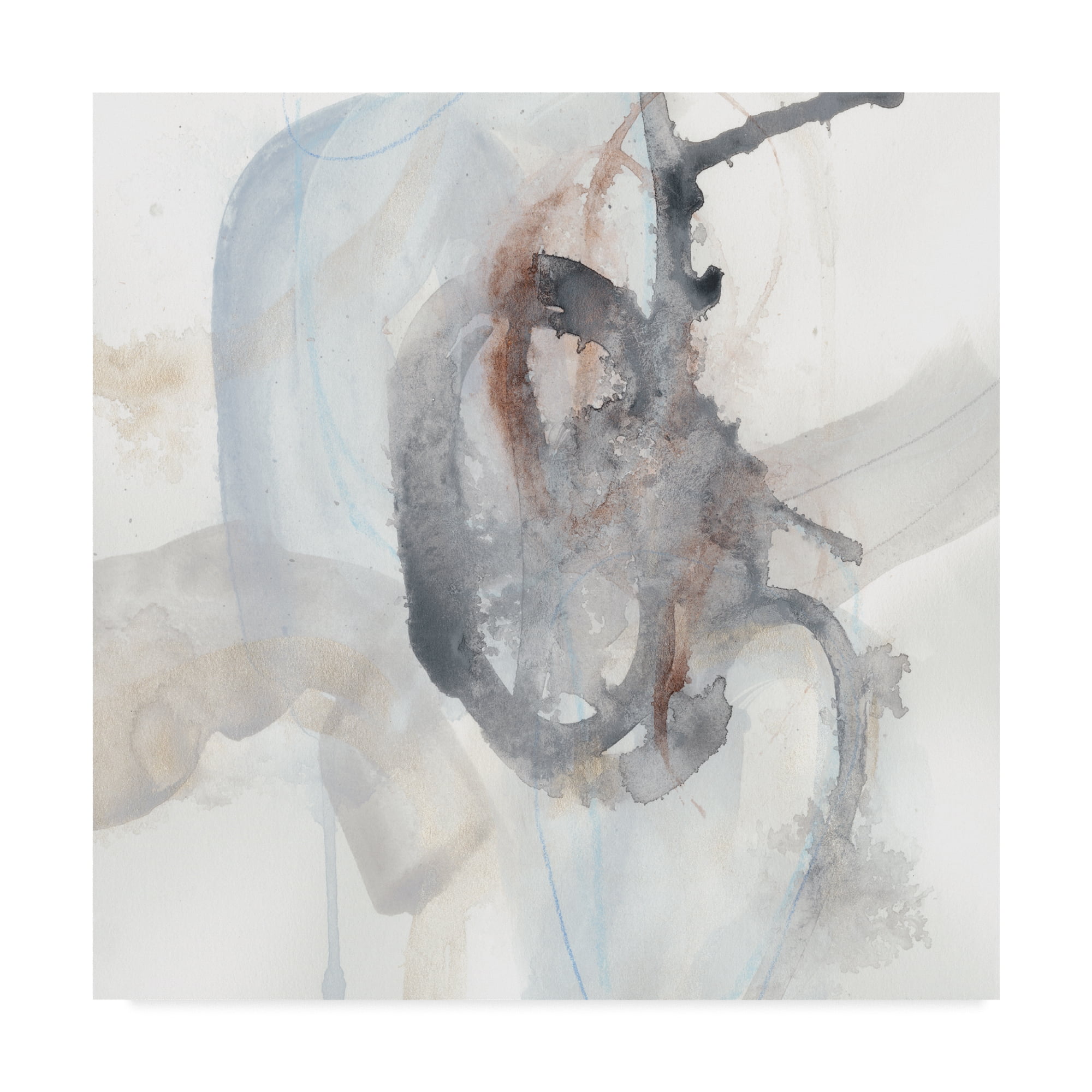 Trademark Fine Art 'Supposition IV' Canvas Art by June Erica Vess