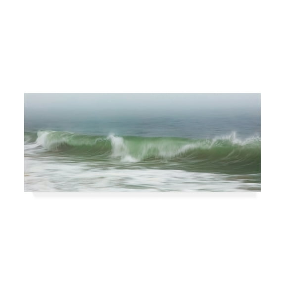 Trademark Fine Art 'Surfside Beach in Fog' Canvas Art by Katherine Gendrea