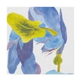 thumbnail image 1 of Trademark Fine Art 'Surprise Indigo III' Canvas Art by Carolyn Roth, 1 of 4