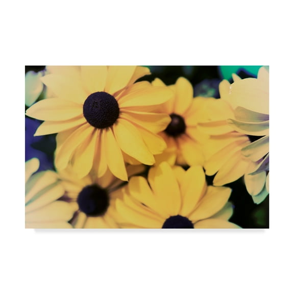 Trademark Fine Art 'Susans I' Canvas Art by Jason Johnson