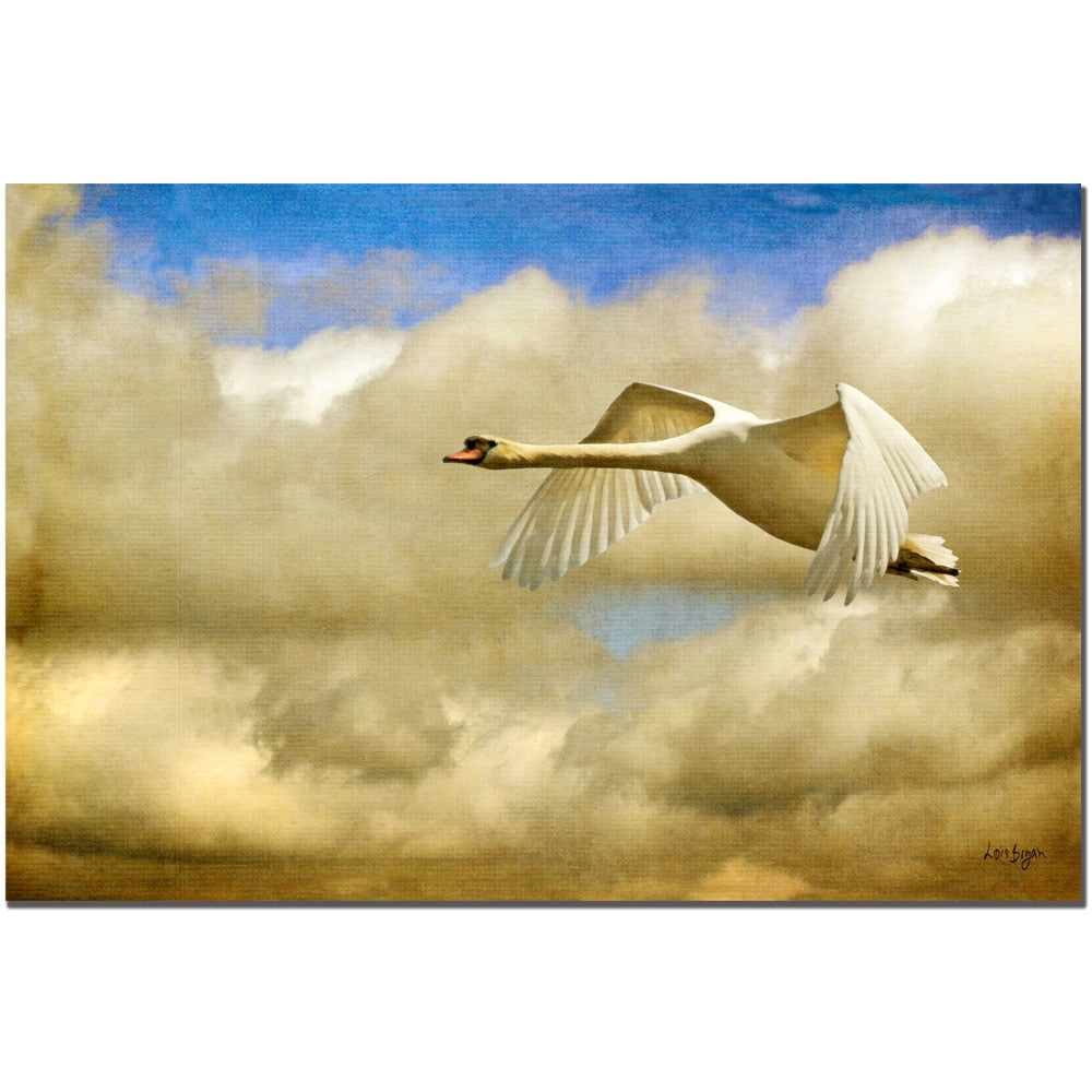 Trademark Fine Art "Swan Song" Canvas Art by Lois Bryan