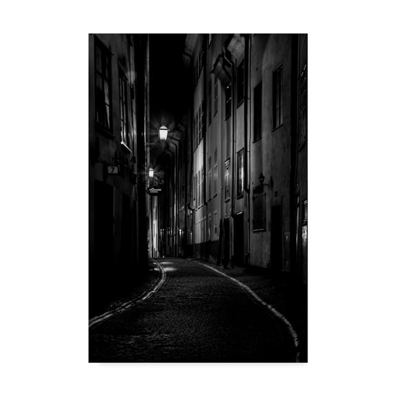 Trademark Fine Art 'Sweden Alley' Canvas Art by Maciej Duczynski